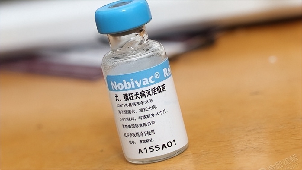 致死率近100%狂犬病为何如此恐怖,科普篇狂犬病到底有多可怕