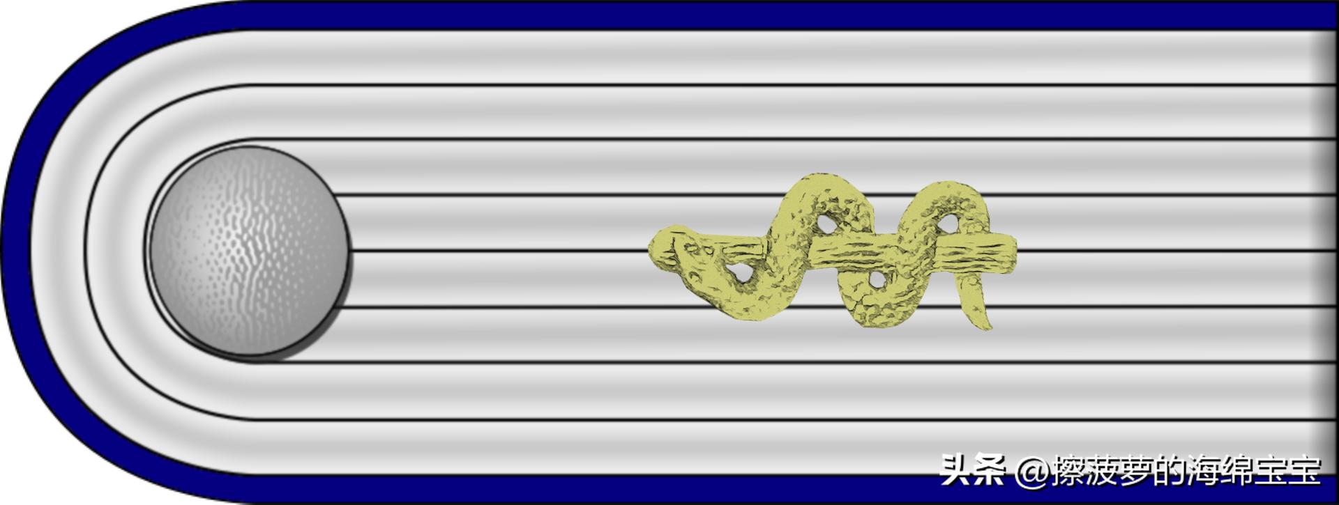 二战德国国防军医疗兵军衔标志