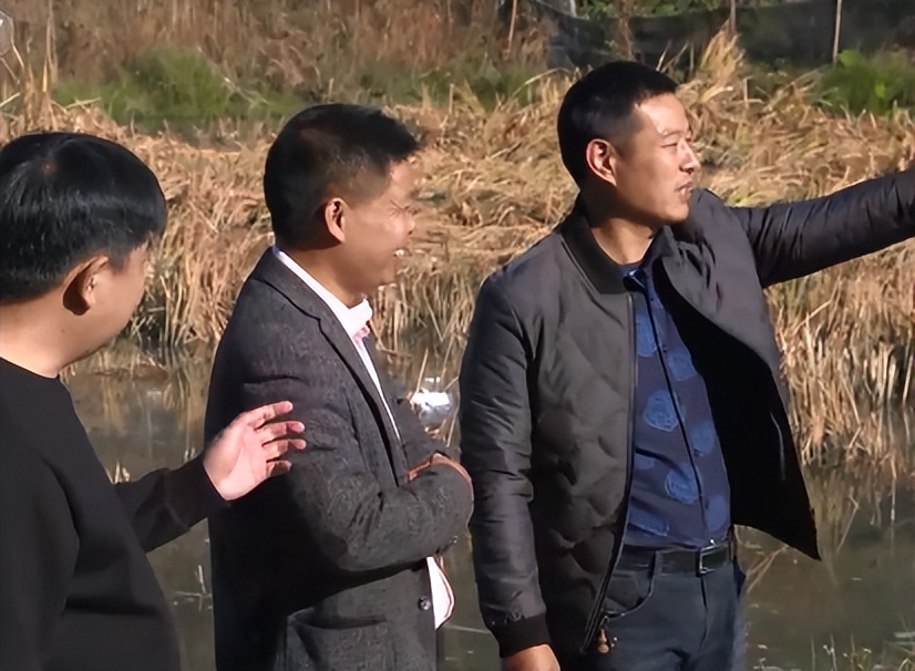 小伙创业一亩田养鱼能挣多少钱,年赚600万的稻田养鱼