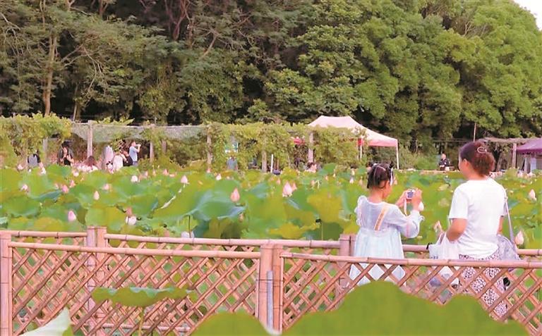 深圳观澜版画村,深圳观澜版画村田园风光