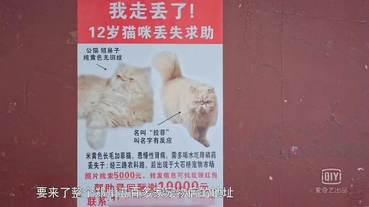 她惨死却热搜下架，你们满意了？