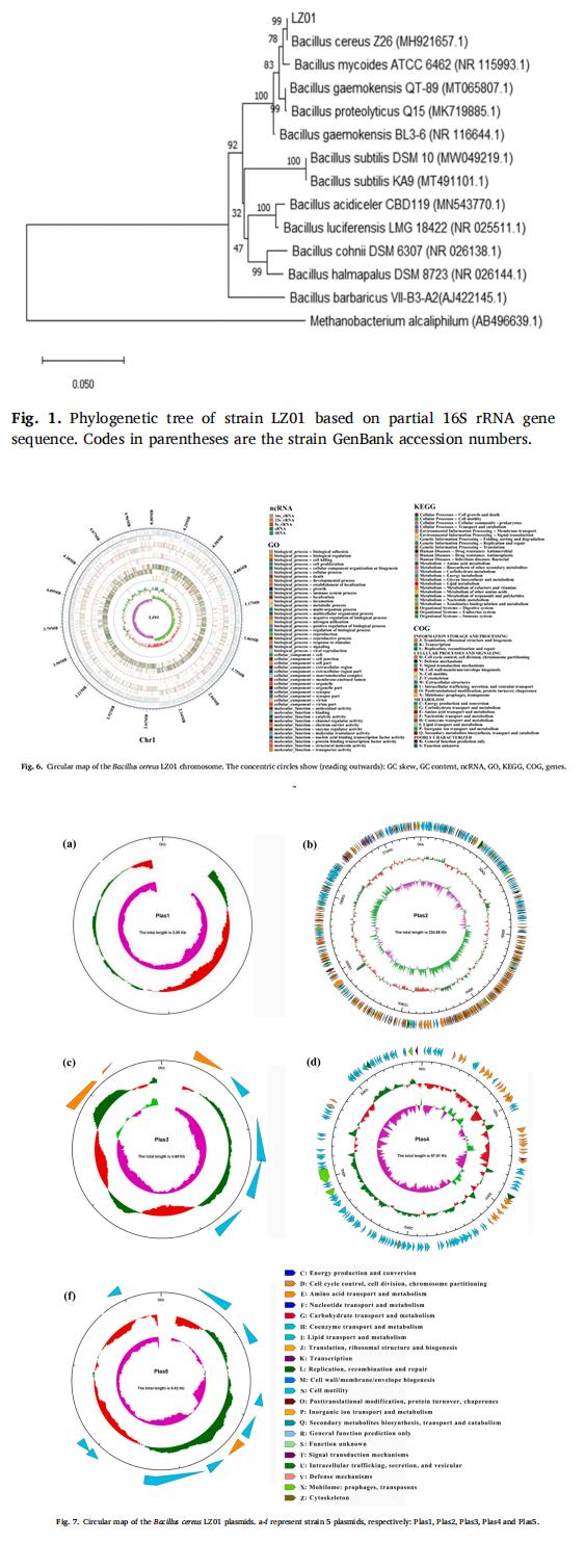 奥维森基因科技有限公司技术团队,奥维森基因测序