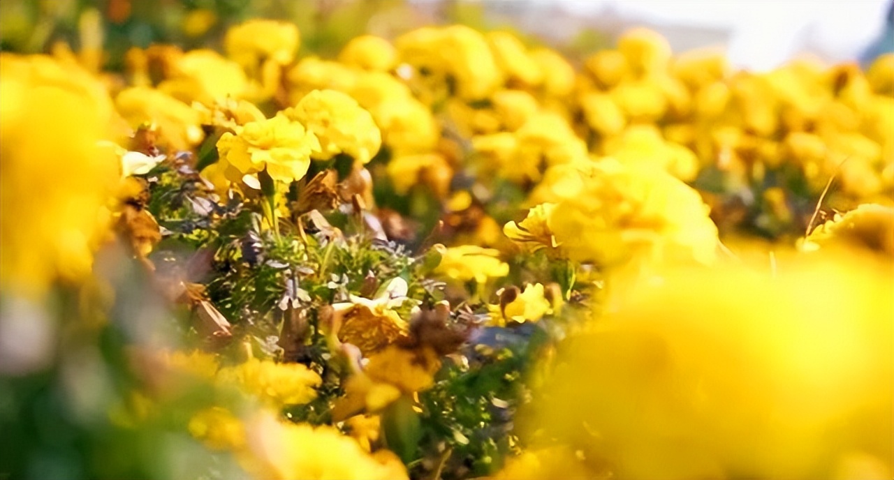 金秋山西旅行攻略,山西国庆出游好地方推荐