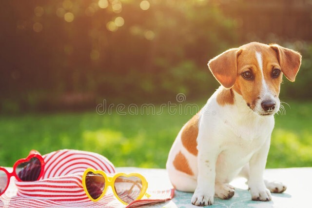 新生儿黄疸正常值对照表,新生儿黄疸晒太阳怎么晒