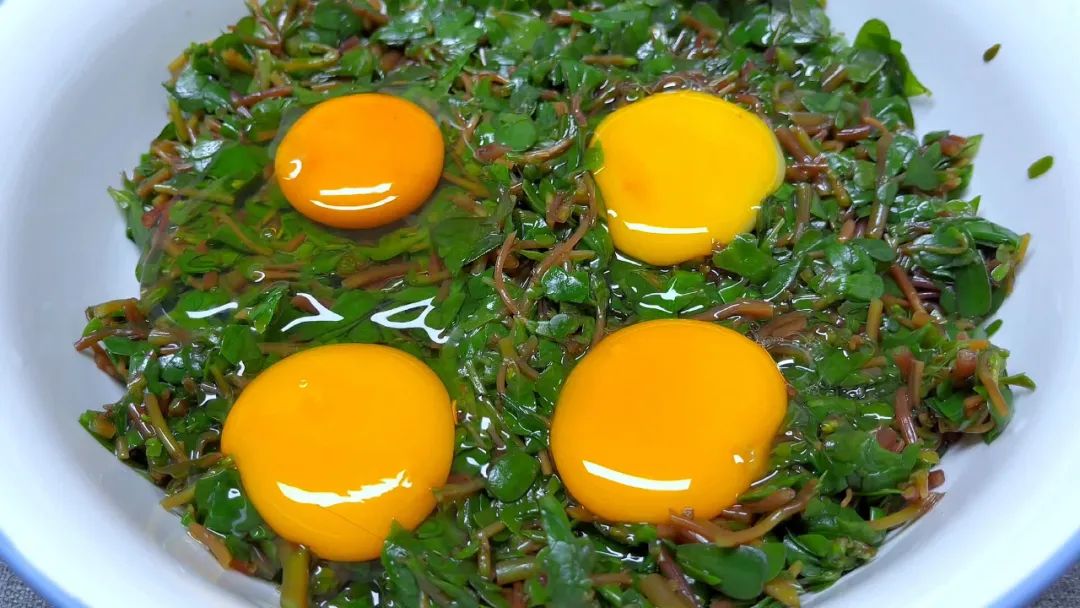 临近三伏最该吃这菜鲜嫩又营养,三伏天鸭肉炖什么