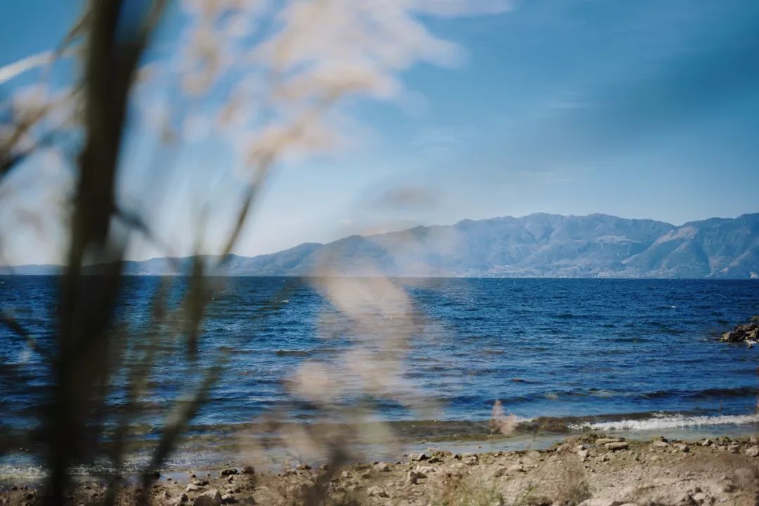 公司的旅游团建必须去吗,旅游团建机构有哪些好的