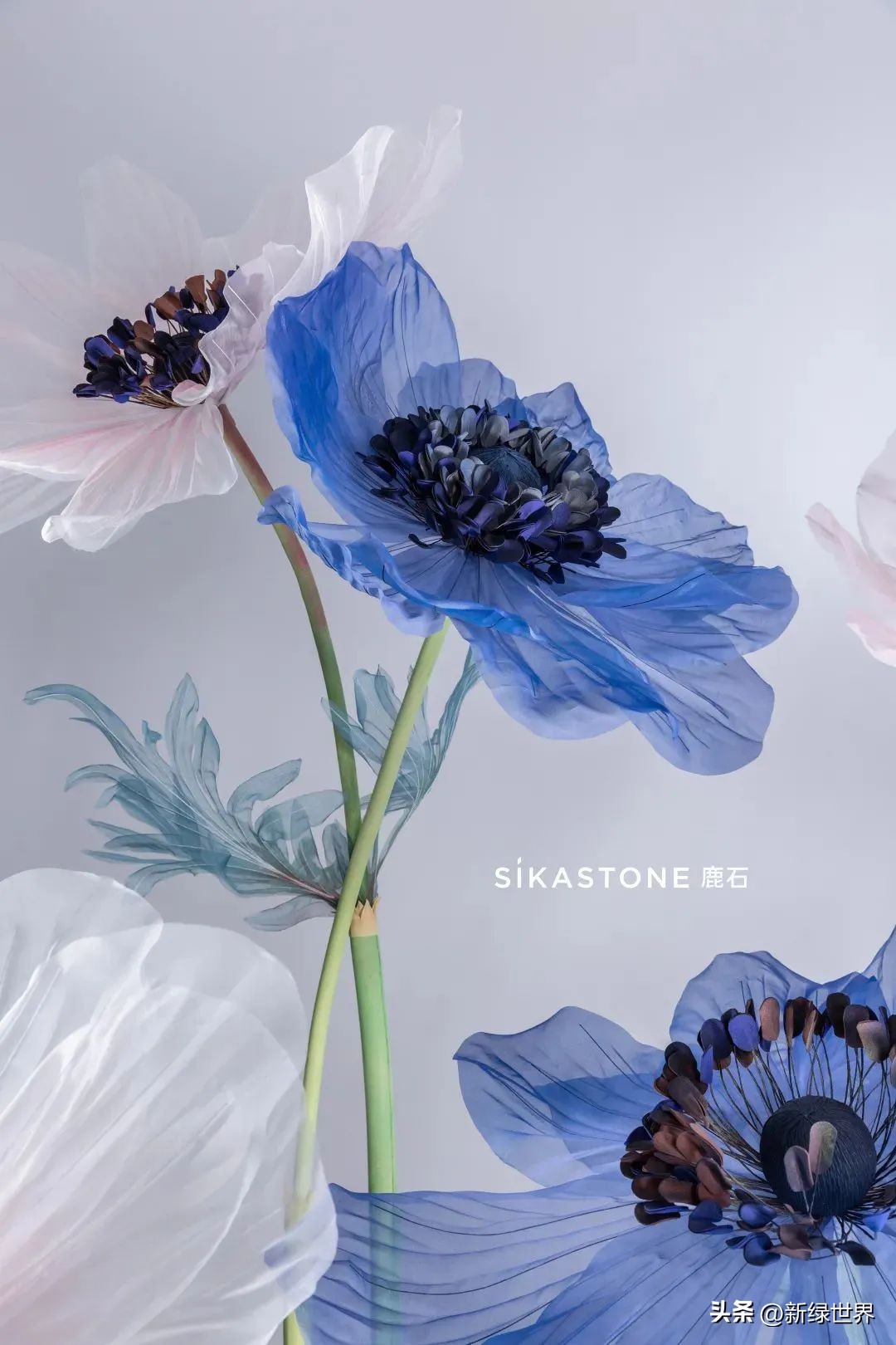 纸艺作品绘画,千变万化的纸艺术作品