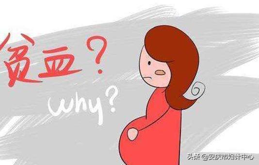 孕期地中海贫血,孕期贫血怎么办吃什么补得最快