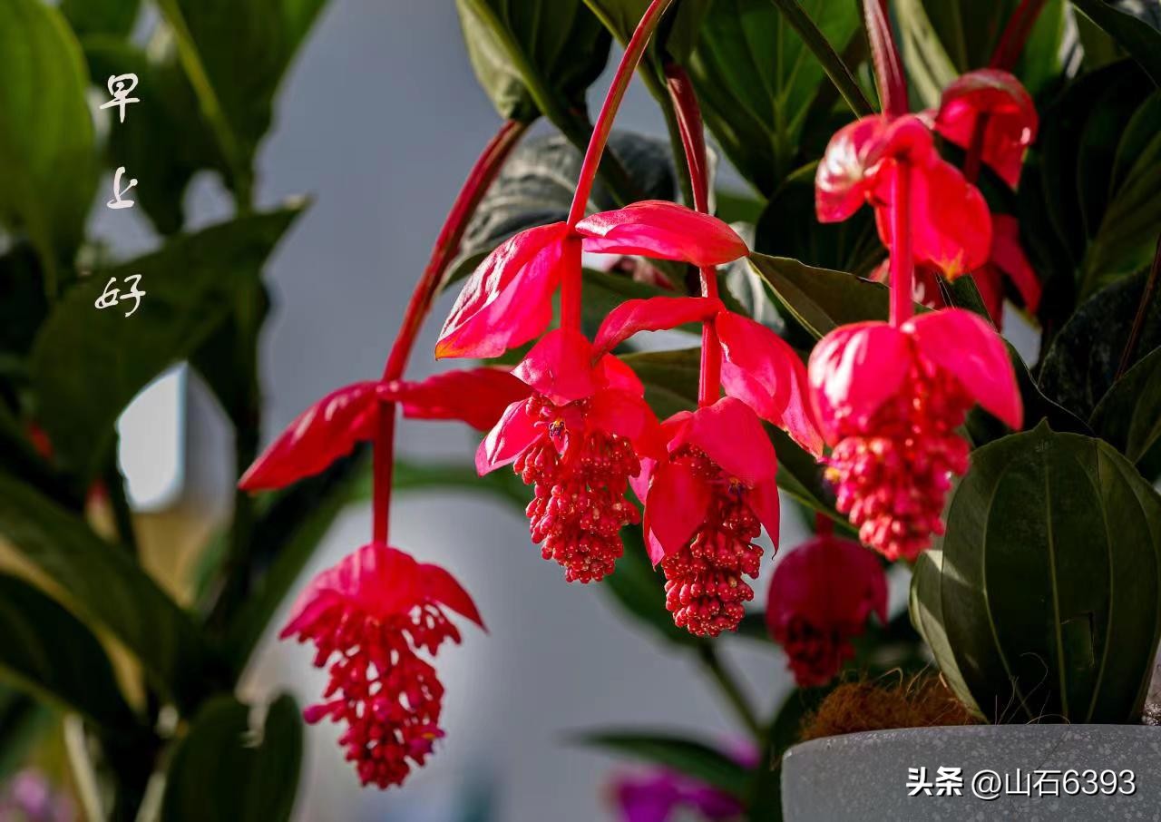 田兆广军营回忆,田兆广军营回忆完整版