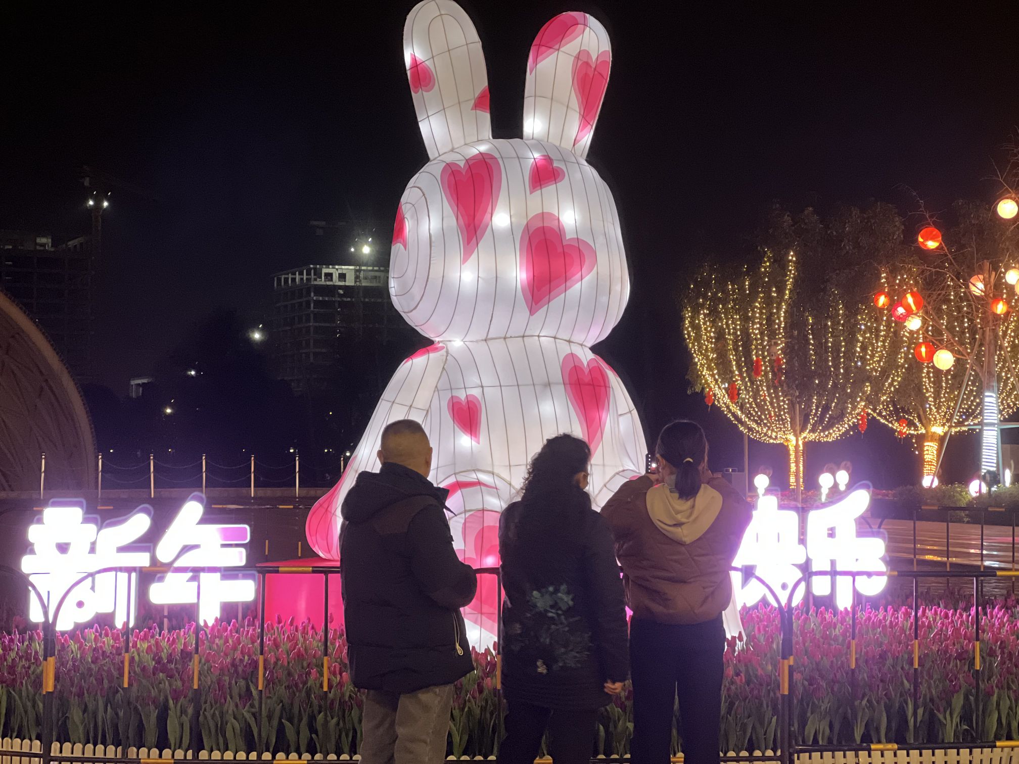 双流区好看的夜景,好漂亮公园