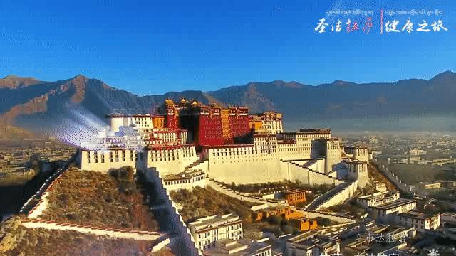 布达拉宫门票怎么网上预约,布达拉宫门票免票时间表