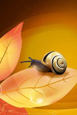 蜗牛高清壁纸4k全屏,蜗牛唯美动画壁纸