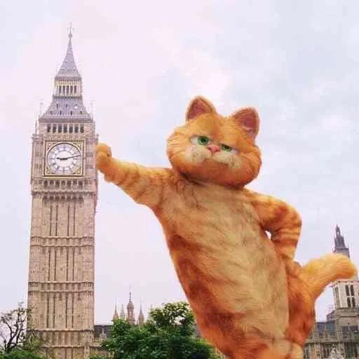 信用卡逾期的后果和处理办法,信用卡逾期的后果有哪些