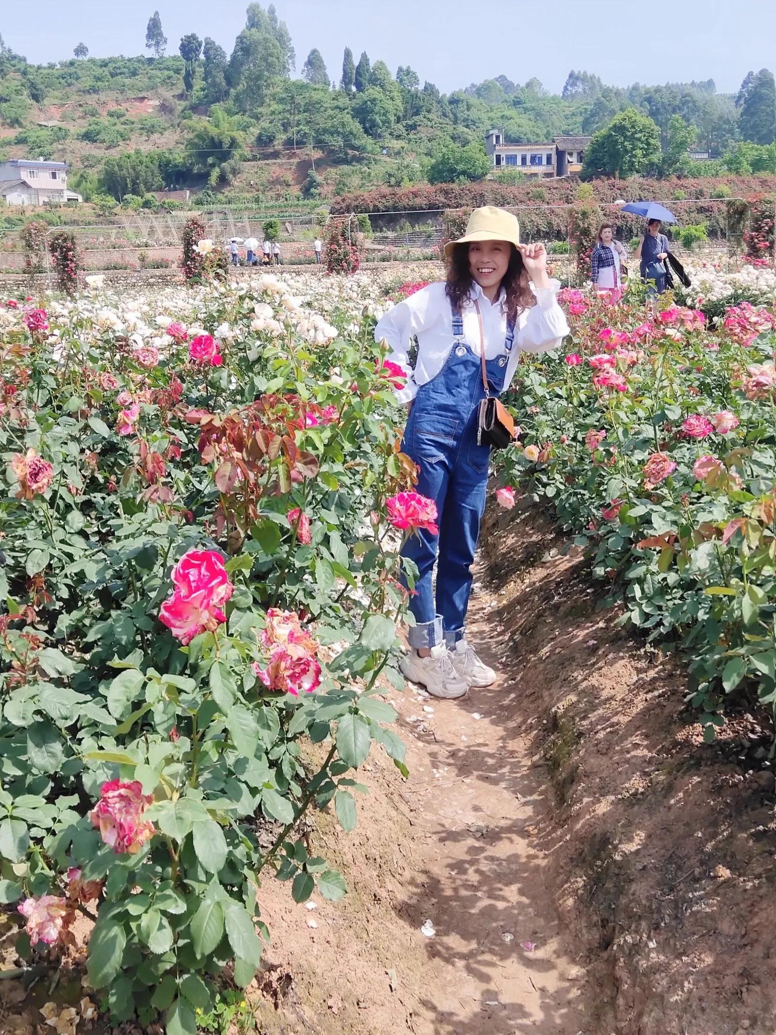 没有爱情的婚姻该怎么熬下去,没有爱情只有责任的婚姻该怎么办
