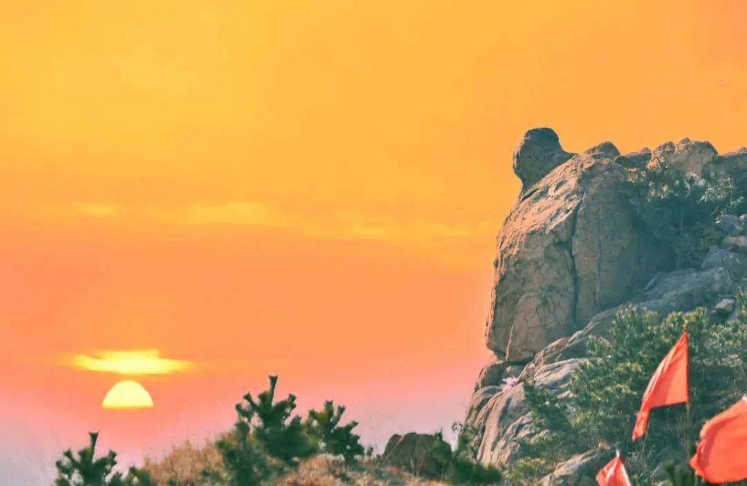 2020日韩青岛进口博览会,2019日韩青岛进口商品博览会开幕