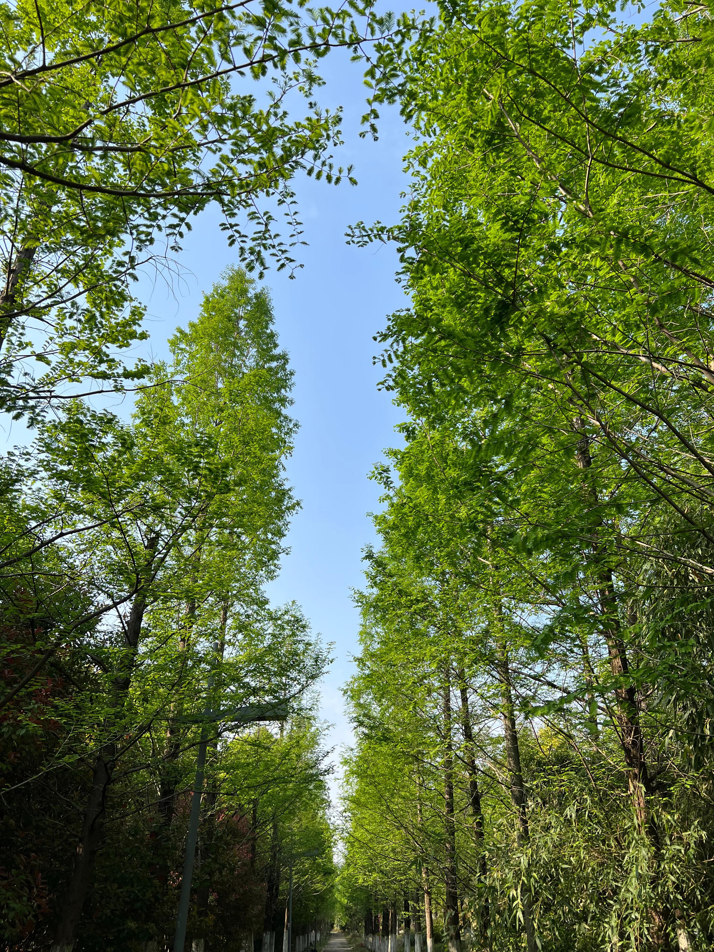武汉园博园自然博物馆,武汉园博园门票