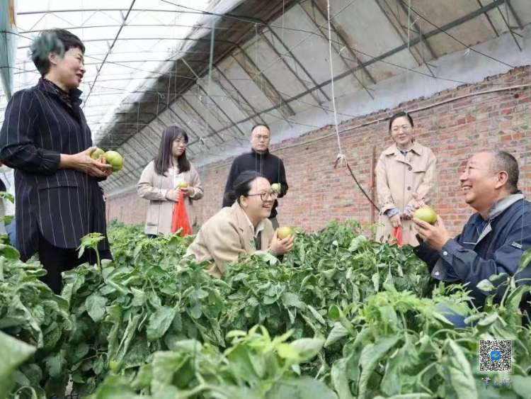 津南区葛沽镇2022年10项民心工程,天津宣讲