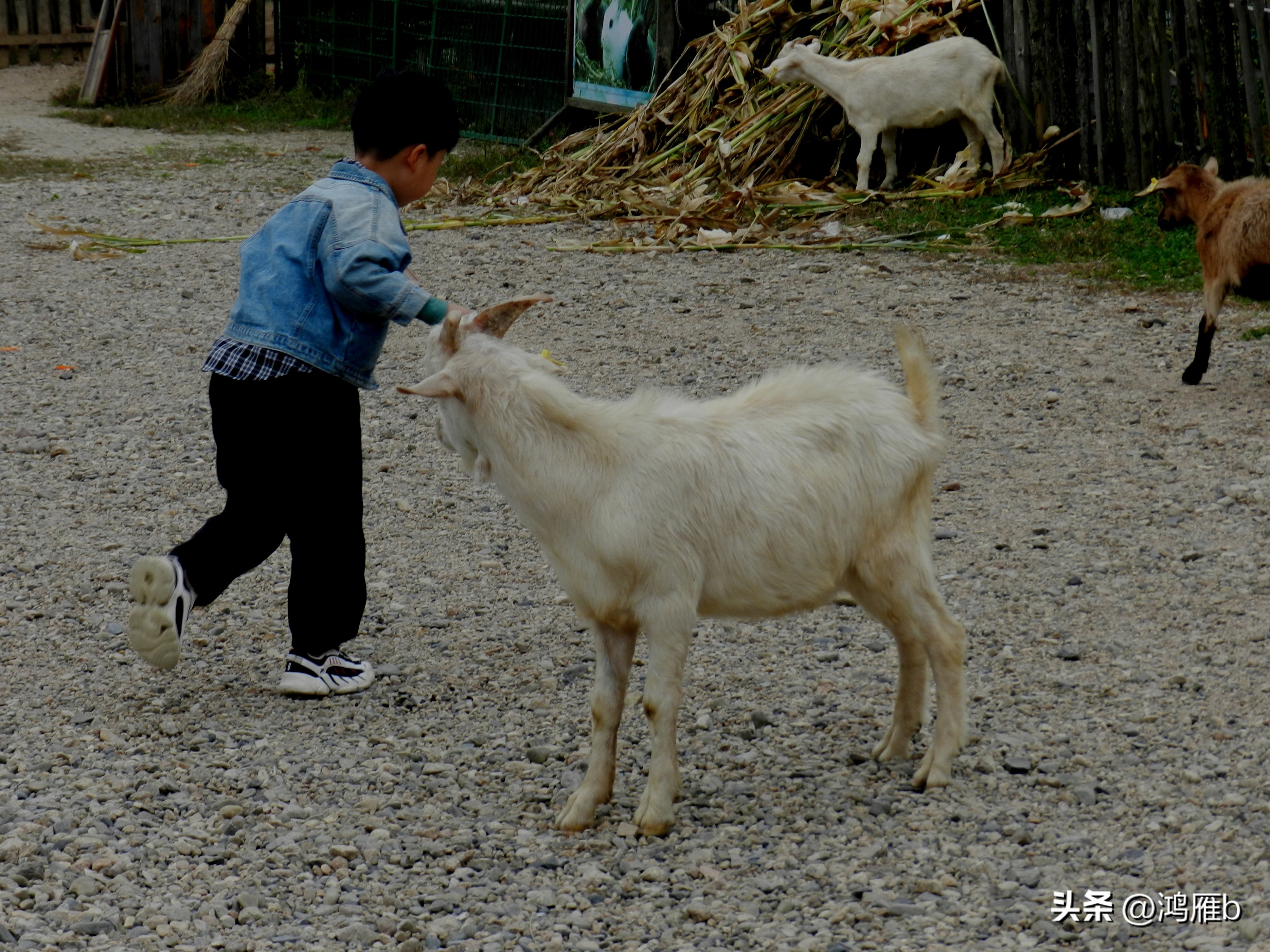 本溪温泉汤沟门票价格,本溪花溪沐枫雪温泉小镇
