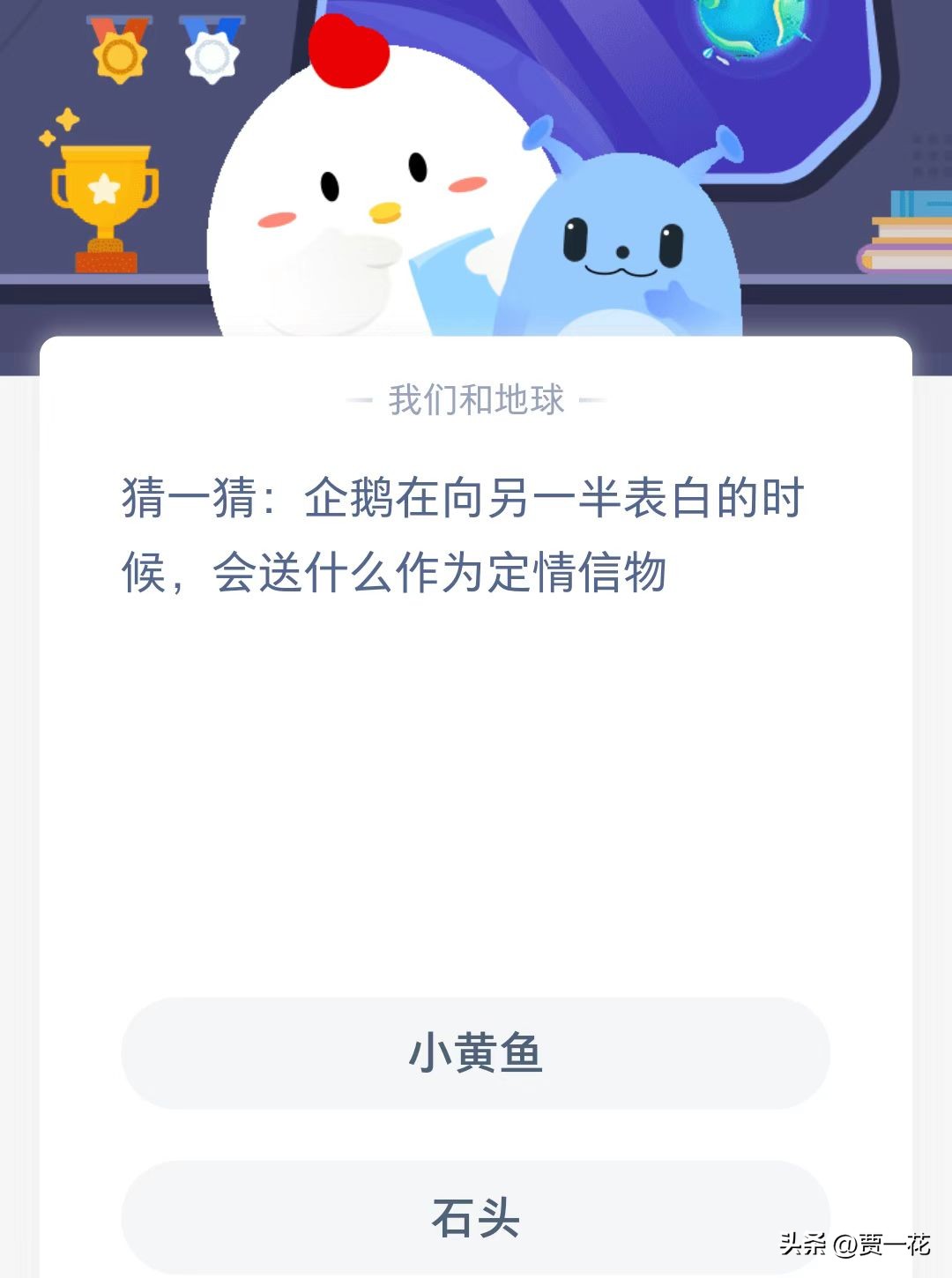 企鹅表白蚂蚁庄园,企鹅向另一方表白送什么定情物