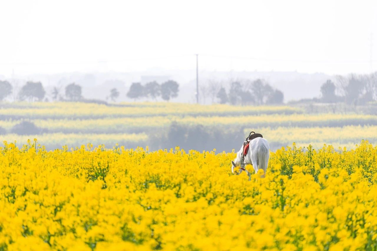春分十首诗词,春分六字古诗