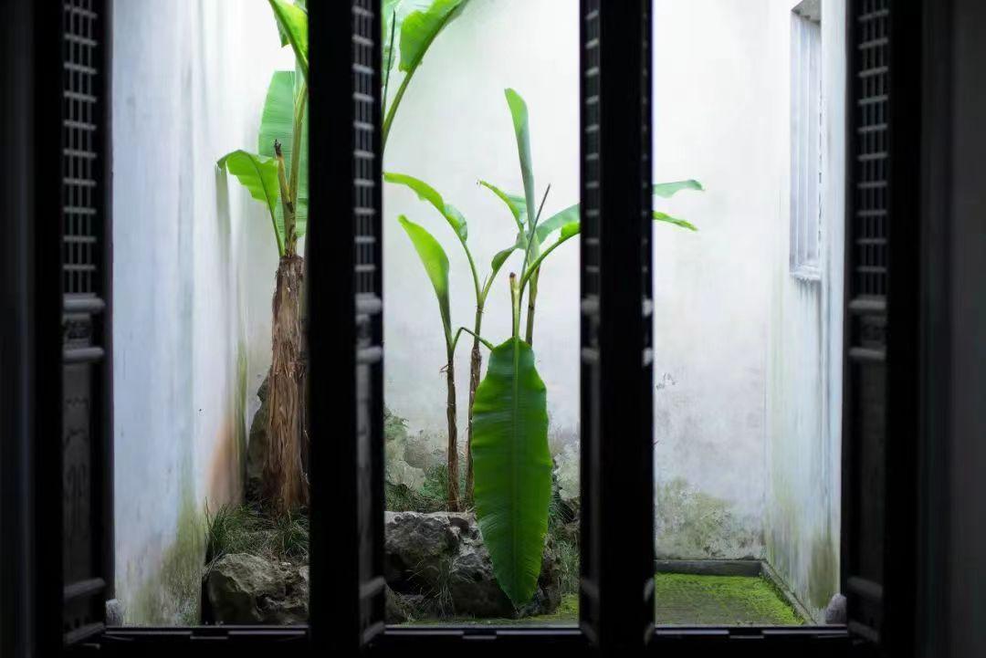 小楼周刊（299）：2022年第二十九期