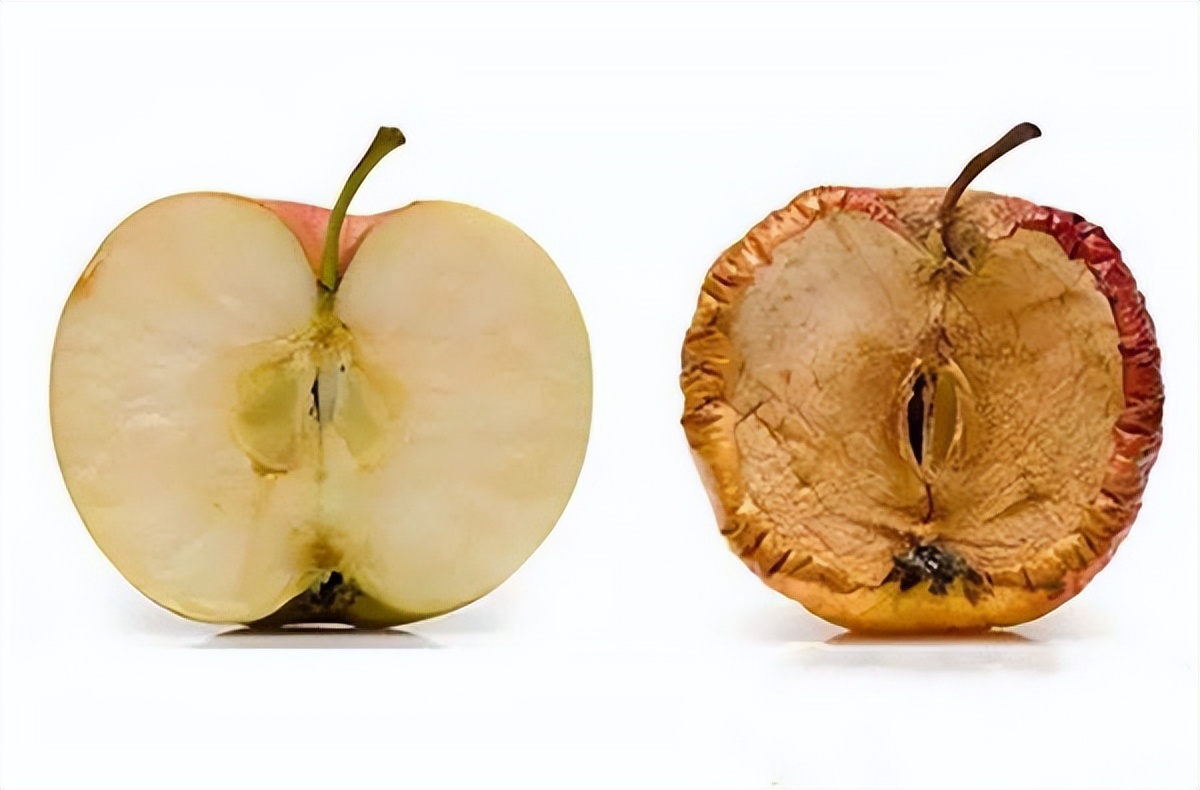 化妆品抗氧化成分概览及解析,抗氧化抗糖护肤品有哪些成分