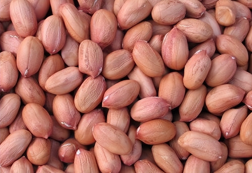 儿童锌偏高吃什么食物好,儿童每日锌摄入营养指南