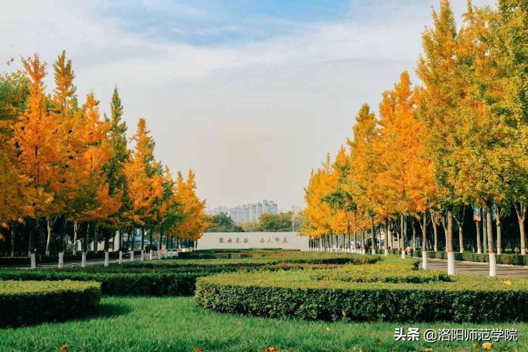 洛师好考吗,洛师最好的专业