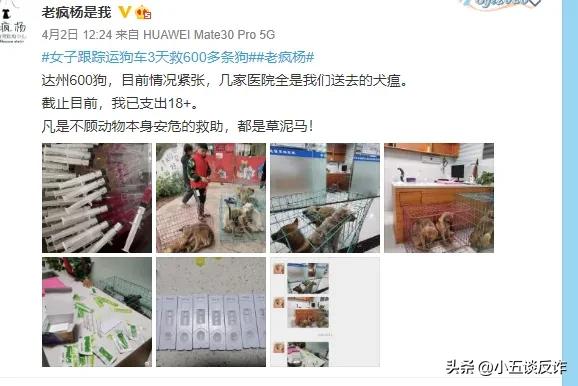 爱狗人士诈捐被揭穿,爱狗人士诈捐事件视频