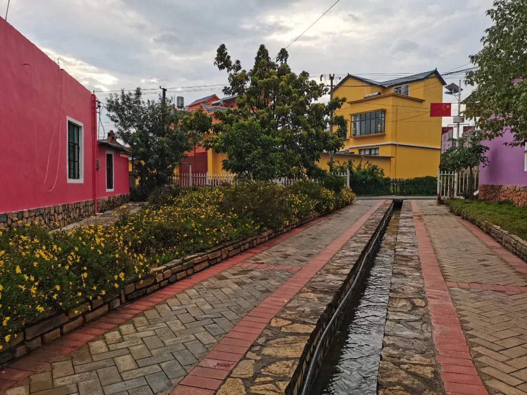 有一种叫云南的生活感动世界,有一种叫云南的生活从不缺浪漫