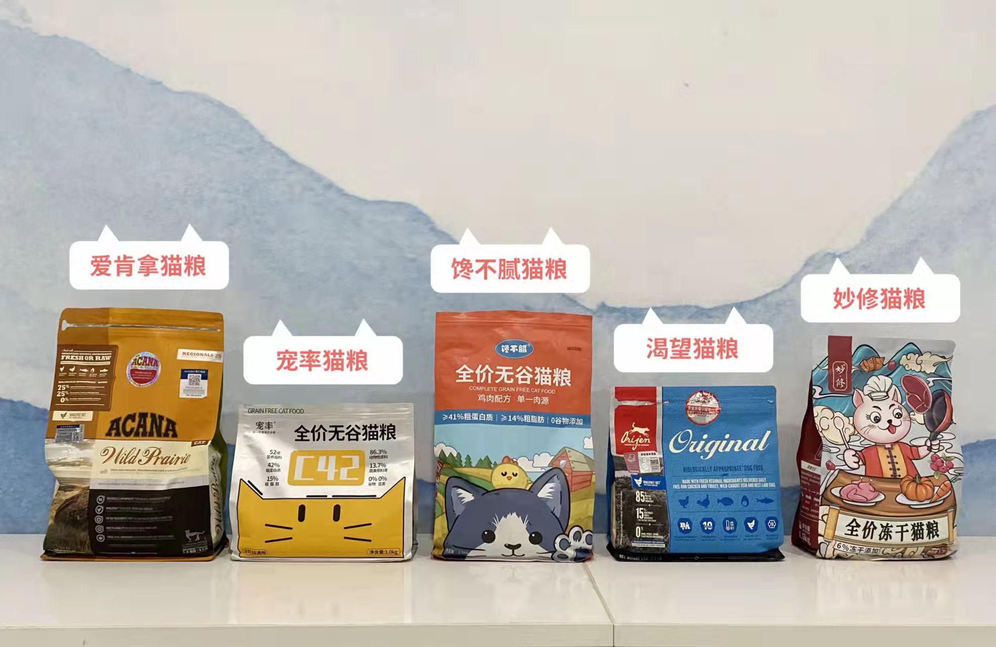 养金吉拉的十大危害,金吉拉容易得什么病