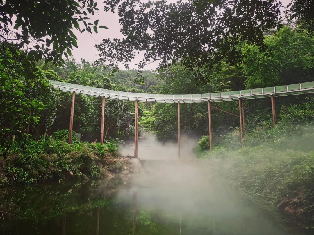 旅游年卡飞熊乐园,水上乐园年卡团购限几人