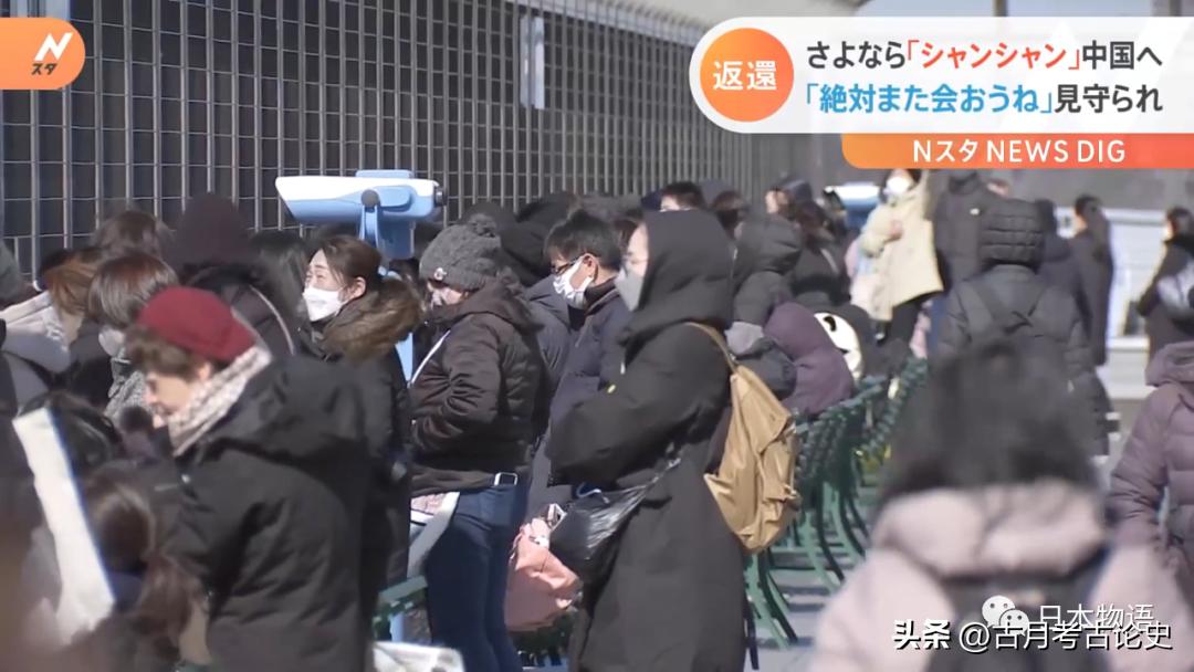 旅日大熊猫回国日本人反应,四只旅日大熊猫陆续归国