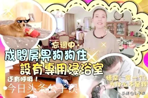 周海媚和吕良伟的爱情故事,周海媚和吕良伟婚姻维持多久