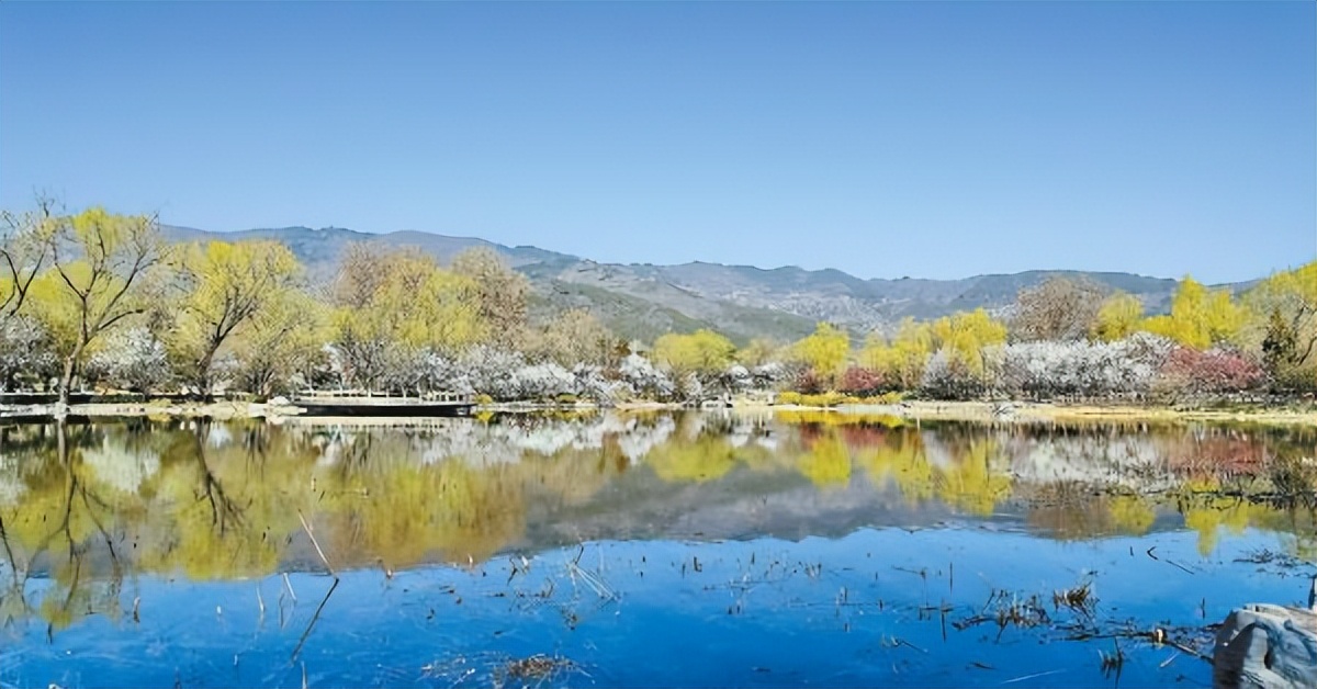 林草科普宣传视频,林草文化科普篇