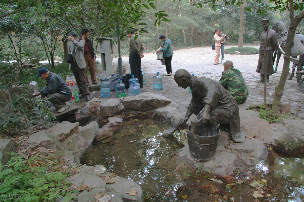 明前杭州西湖龙井茶,杭州西湖龙井茶山