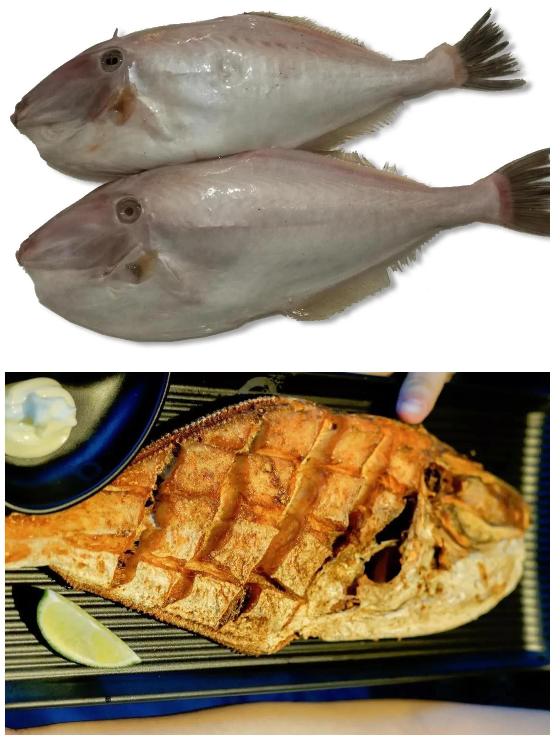 10种海鱼便宜营养价值高,30种最常吃的海鱼图片大全