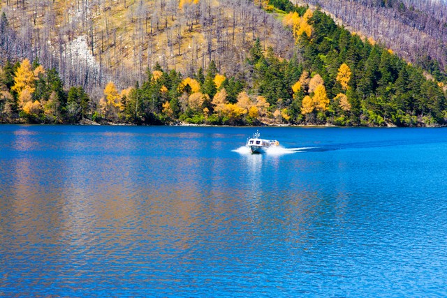 酒店旅游行业回暖情况,酒店旅游行业什么时候能复苏