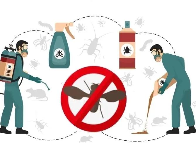 针对害虫使用正确的杀虫剂配方,杀虫剂如何杀虫