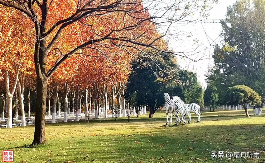 7月郑州凉快遛娃公园排行榜,郑州龙子湖避暑遛娃的地方