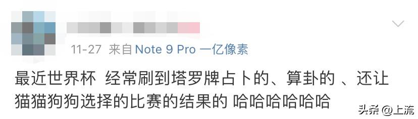 世界杯算命先生预测,世界杯竞彩分析大师