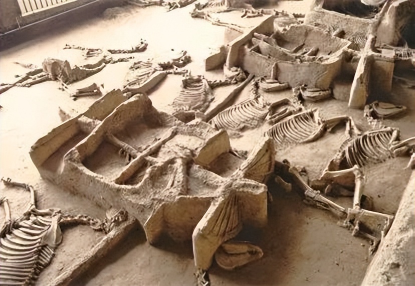 潘付生:“天子驾六”车马坑发现20周年记