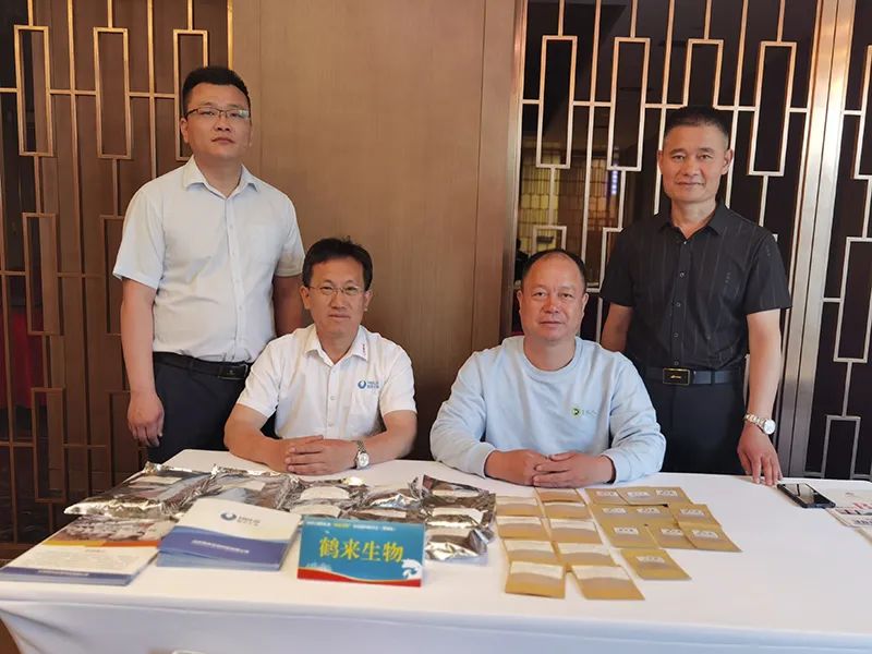 聚焦创新突破研讨发言材料,饲料企业爆品突破研讨会