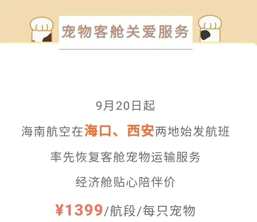 养猫两年你花了多少钱,养猫两年囤了一堆梳子