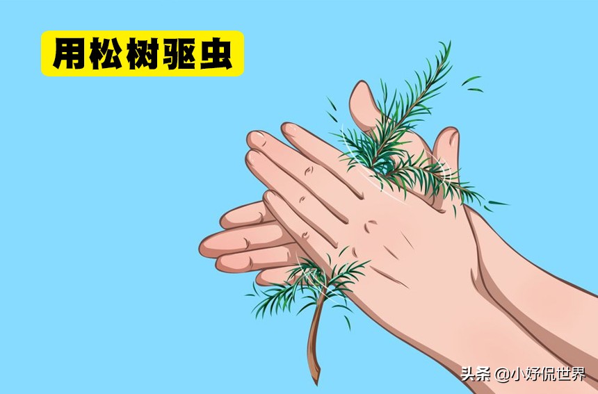 假如在野外迷了路你该怎么办,要是在野外迷了路怎样才能回家