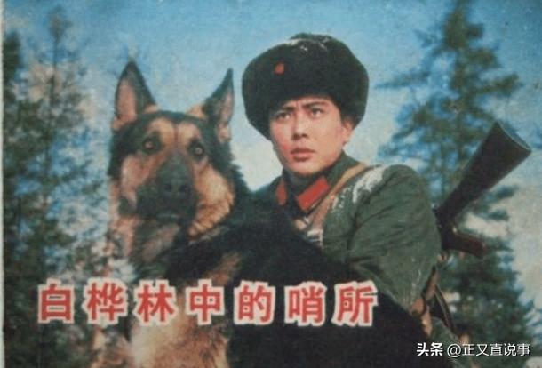 立功警犬被伤,功勋犬拍戏被炸死驯养员哭出血