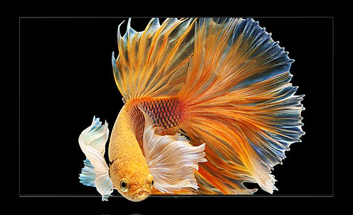 目前最不建议入手的三款电视,历史以来口碑最好的电视是哪款