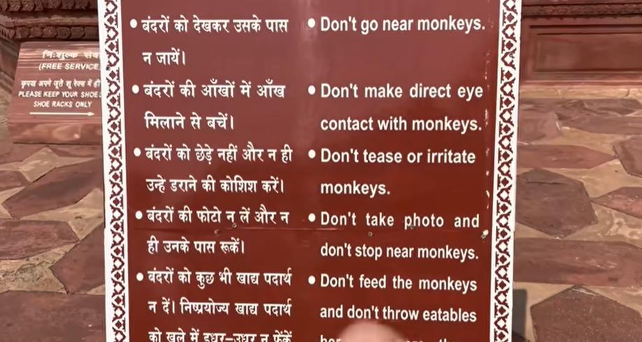 现在的印度真实的情况,印度农村真实生活