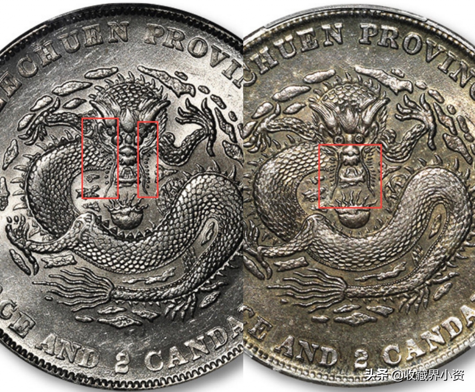 一眼辨识川龙：大头龙、剑角龙、阔面龙、四角龙、兔龙等版式