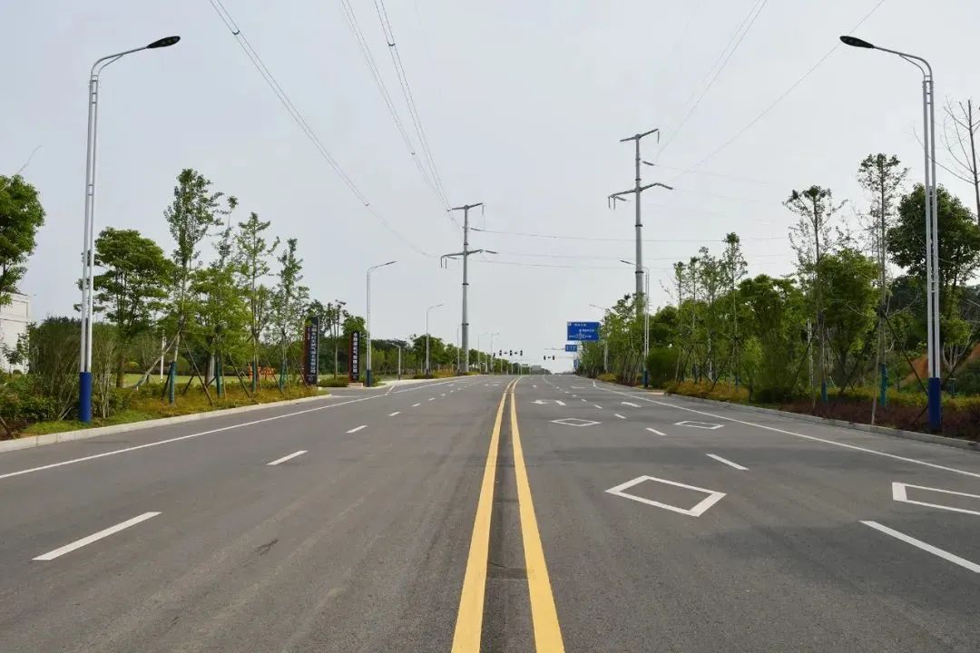 荆州端午赛龙舟,湖北荆州龙舟赛直播今年